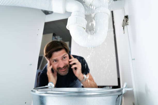 Best Septic Systems  in Canastota, NY